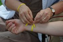 Festi'Val2009