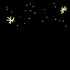nuit noire