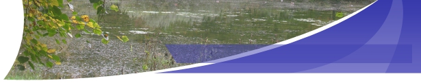 Forêt de Bonsecours
