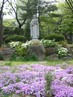 La petite Thérèse de Lisieux nous précède toujours, ici, au Carmel de Séoul