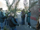 Hosanna