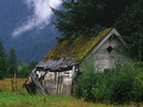 Cabane dans un champ