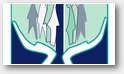Logo APPRR