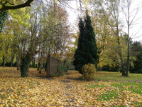 Le  parc en autonne