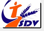 SDV Cambrai
